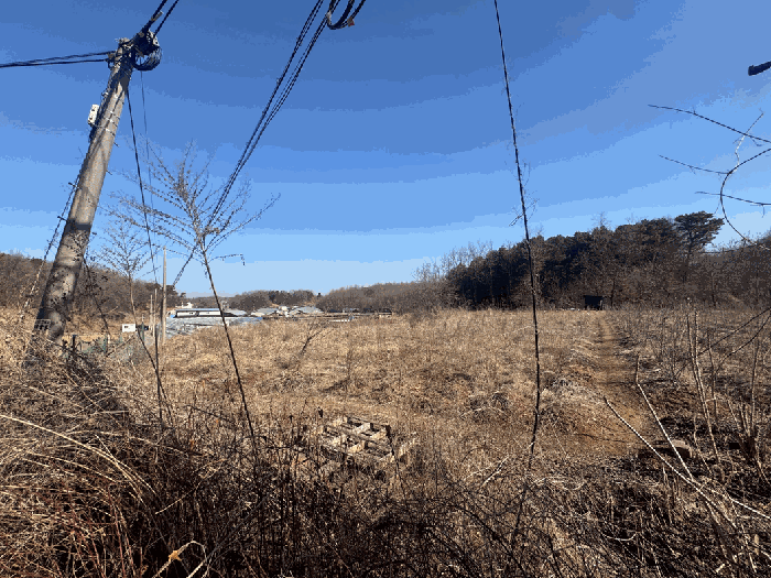 기호 1) 전경