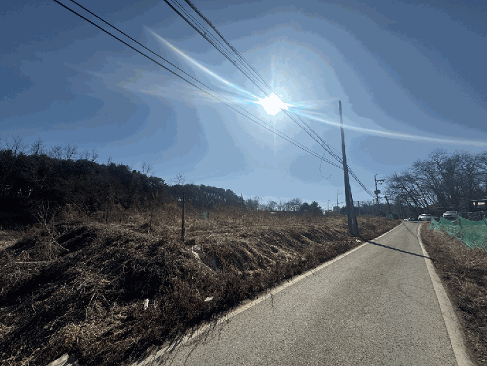 기호 1) 전경