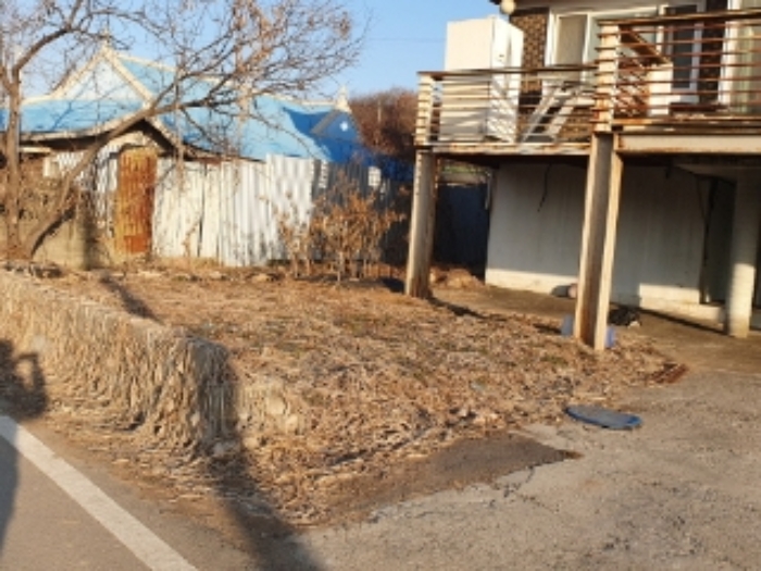 대지 부분의 텃밭(묵전 상태)