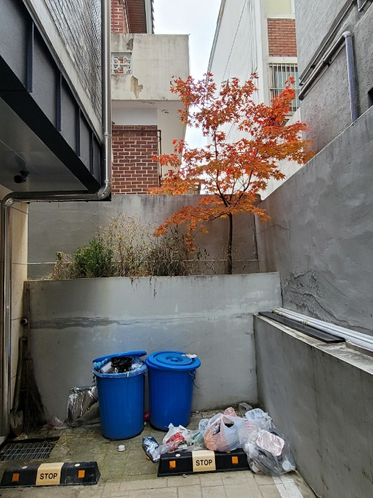 기호(1) 위 지상 화단 등