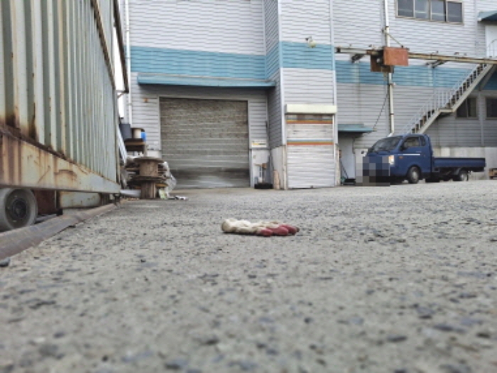 목록1,2,3 토지 모습3