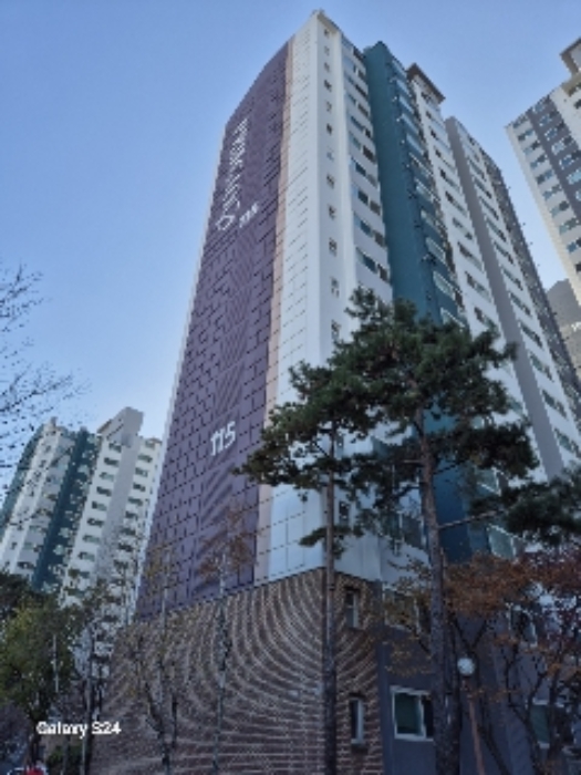 115동 전경