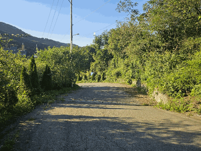 기호3,8~16 전경(도로)