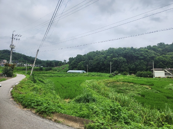 남서측에서 촬영