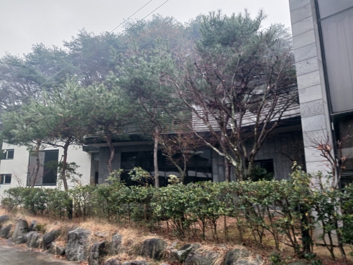 조경석 및 수목