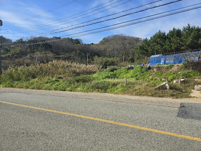 기호(1) 전경(북동측에서 촬영)