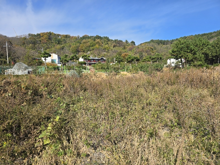 기호(3) 전경(남동측에서 촬영)