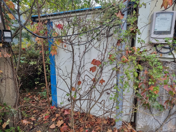 제시외건물(ㄱ)