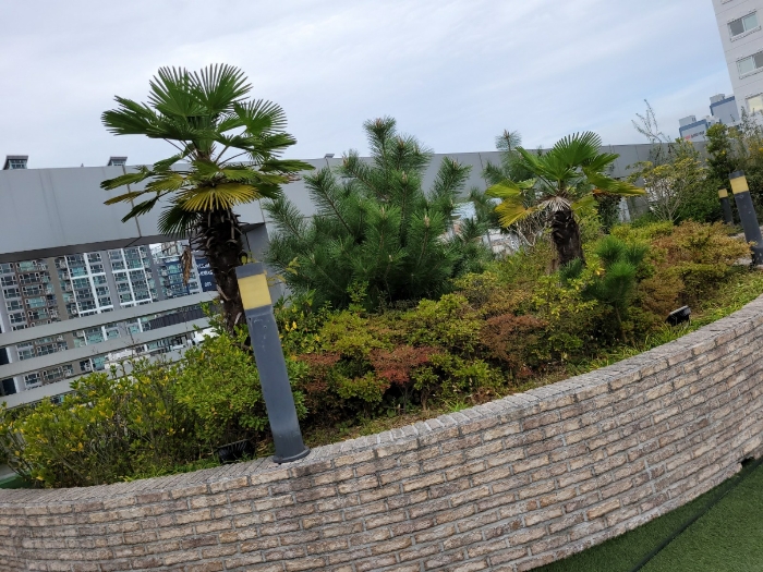 제시외 기호 ㄷ( 5층 수목)