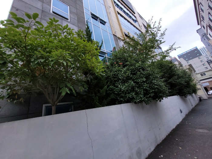 제시외 기호 ㄷ( 1층 수목)