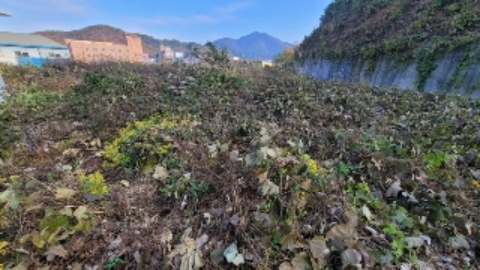 본건4,5,7,9 및 주변