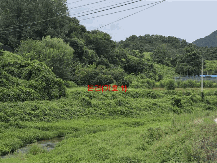 [ 본건(기호 1) ]