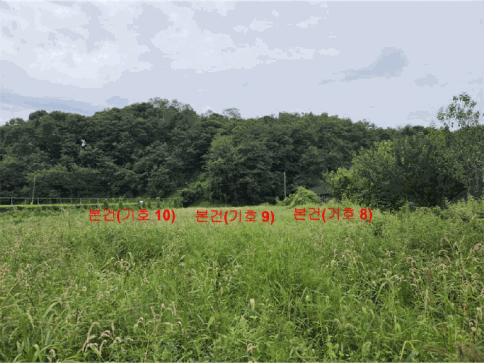 [ 본건(기호 8,9,10) ]