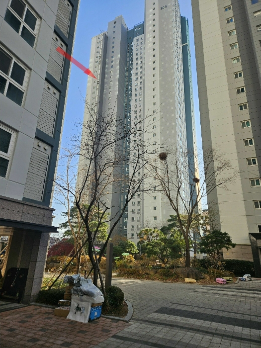 본건동 전경 (본건 북서측 인근 단지내에서 촬영)