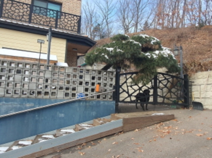 현장사진(건물 대문)