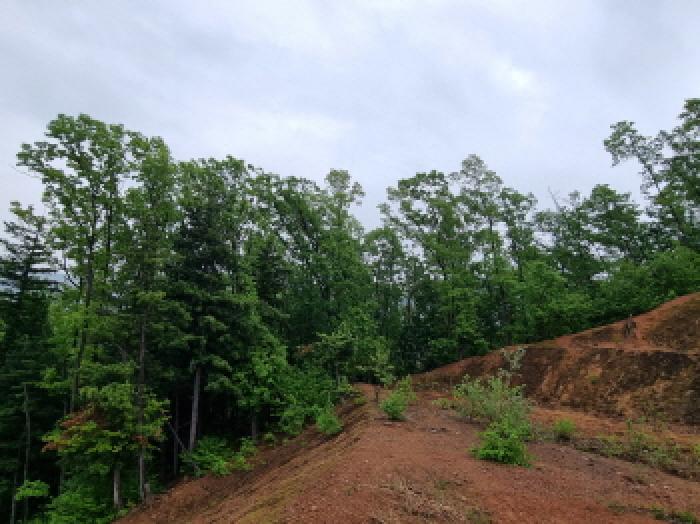 목록 1. 임야 인근 전경