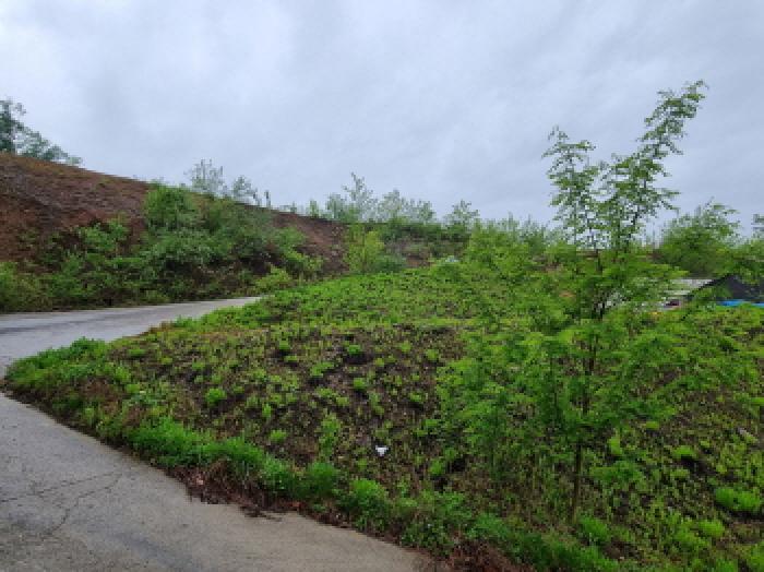 목록 3. 임야 인근 전경