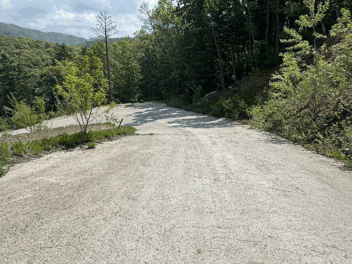 [ 일 련 번 호 3 ]