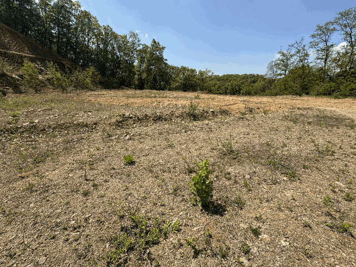 [ 일 련 번 호 2 ]