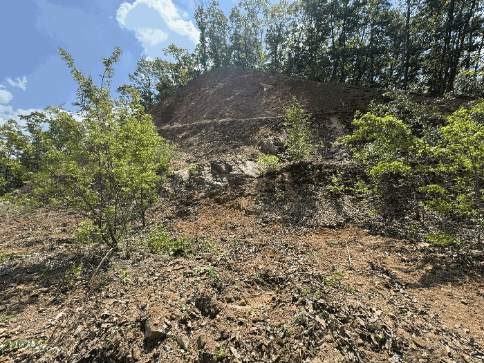 [ 일 련 번 호 1 ]