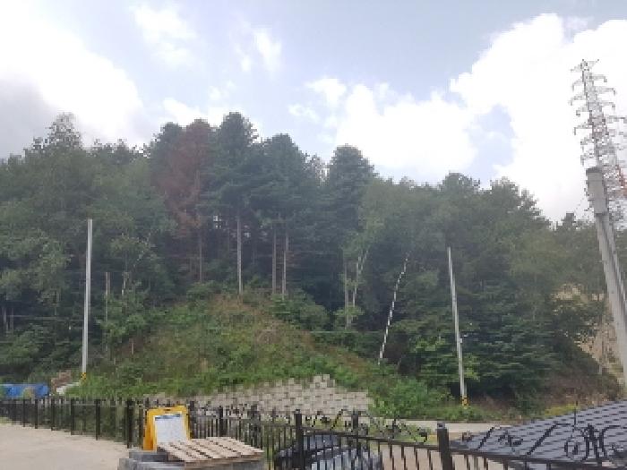 [사진 12]