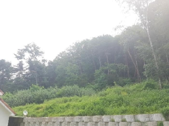 [사진 1]