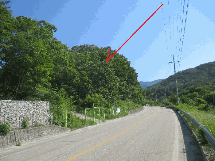 기호 1 토지 전경