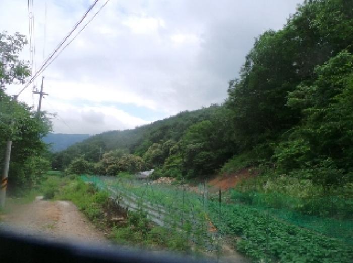 사진3번 [목록번호1번 부동산 전체전경]