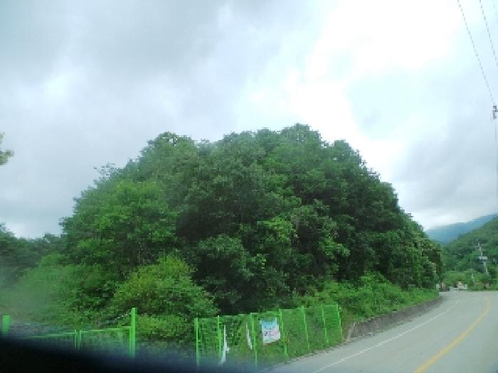 사진4번 [목록번호1번 부동산 일부 전경]