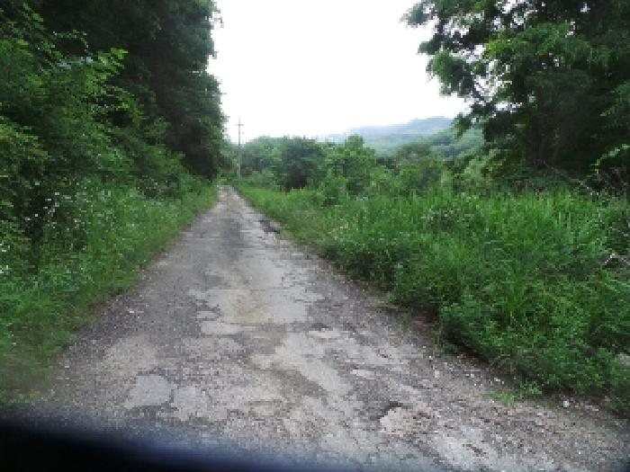 사진32번 [목록번호3번 부동산 일부 도로로 사용중인 것으로 목측되는 전경]