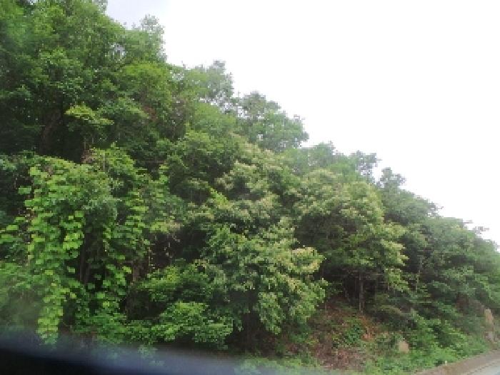 사진5번 [목록번호1번 부동산 일부 전경]