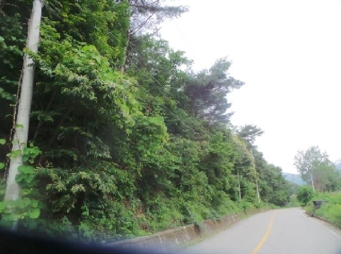 사진8번 [목록번호1번 부동산 일부 전경]