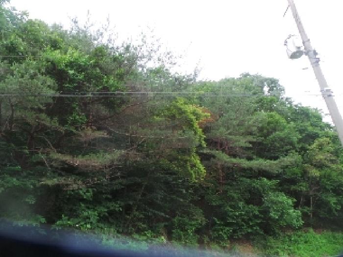 사진9번 [목록번호1번 부동산 일부 전경]