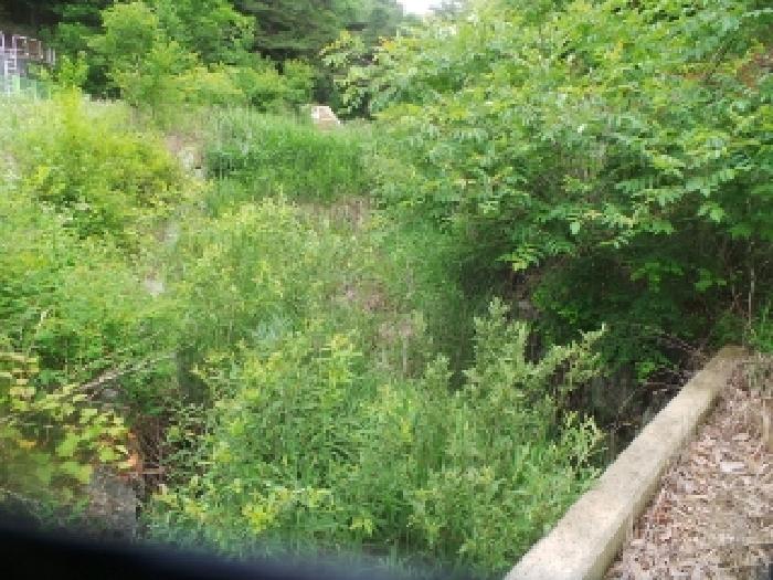 사진18번 [목록번호1번 부동산 일부 구거 전경]