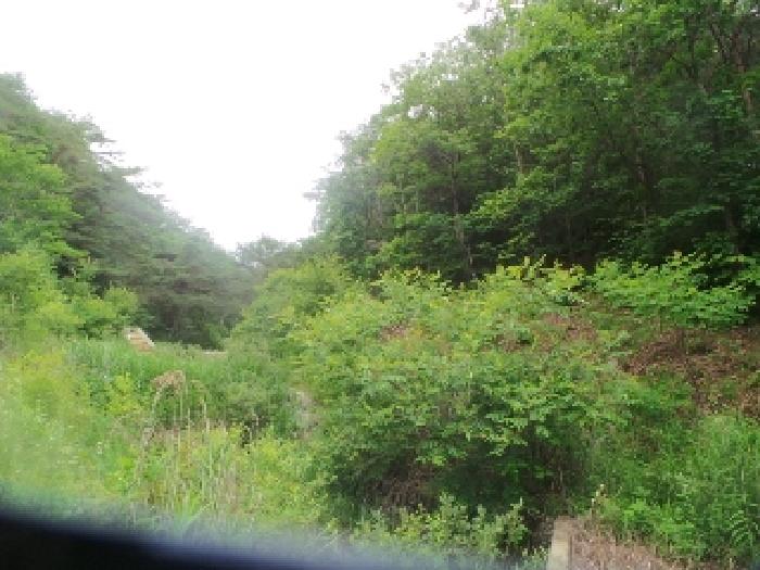 사진10번 [목록번호1번 부동산 일부 전경]