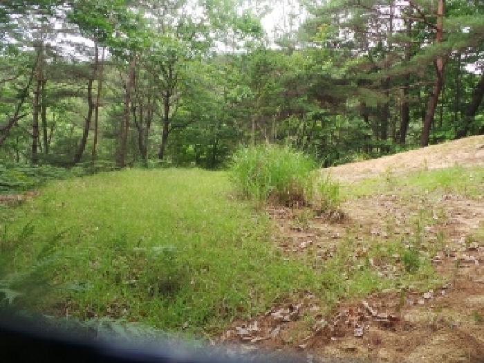 사진16번 [목록번호1번 부동산 일부 전경]