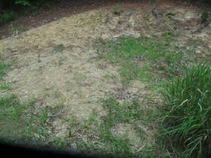 사진17번 [목록번호1번 부동산 굴이된 분묘자리 전경]