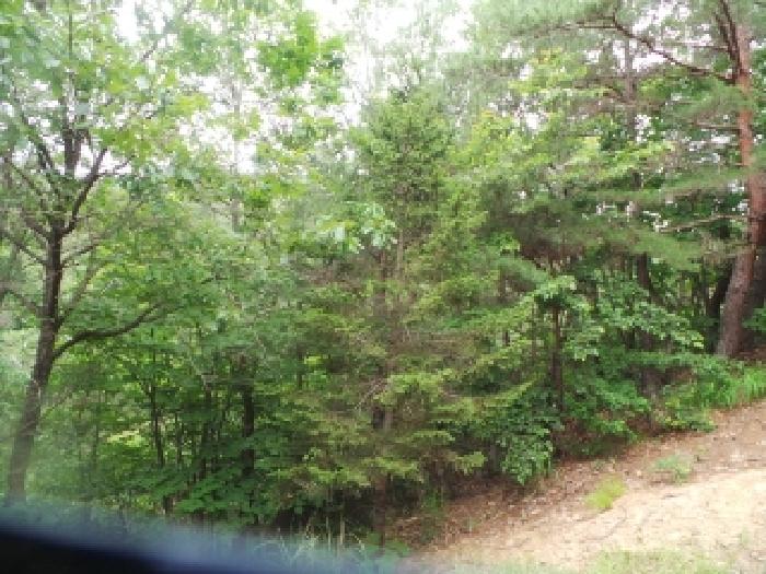 사진11번 [목록번호1번 부동산 일부 전경]