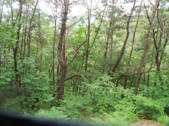 사진12번 [목록번호1번 부동산 일부 전경]