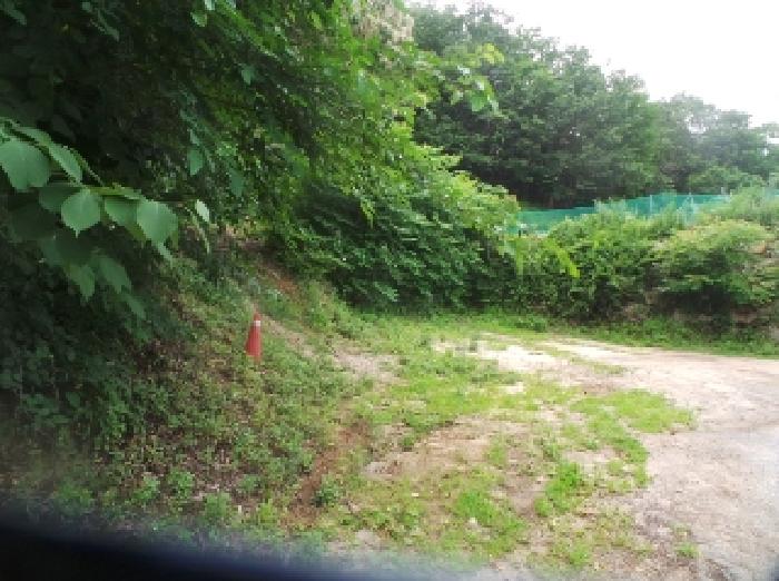 사진19번 [목록번호1번 부동산 일부 전경 및 도로  전경] 