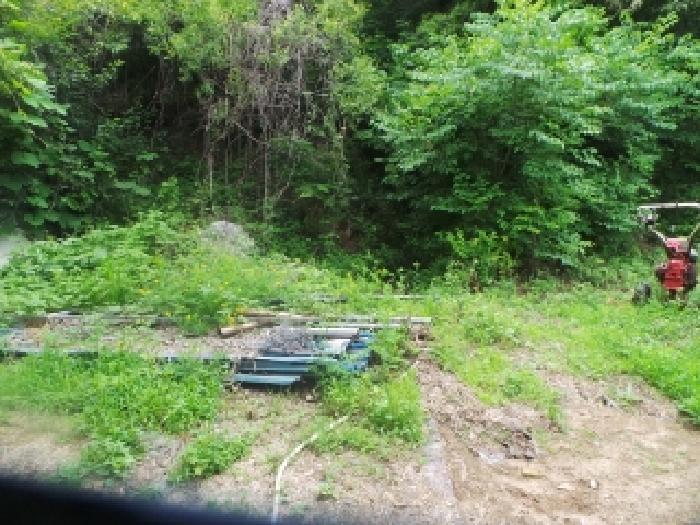 사진15번 [목록번호1번 부동산 일부 전경]