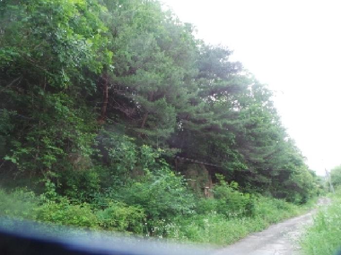 사진30번 [목록번호3번 부동산 일부 전경]