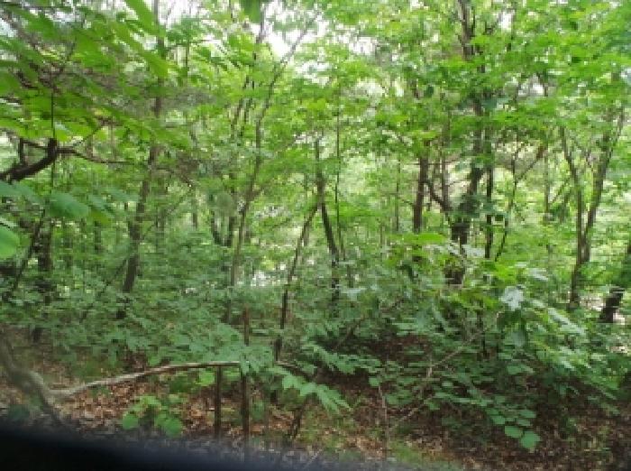 사진13번 [목록번호1번 부동산 일부 전경]