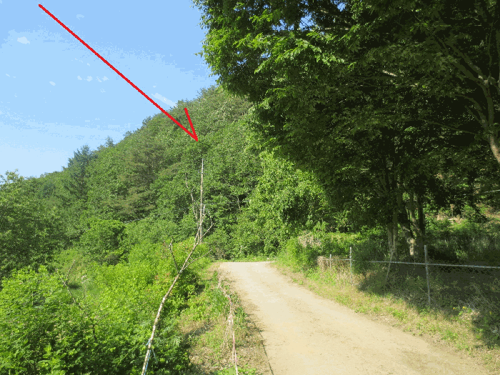 기호 3 토지 전경