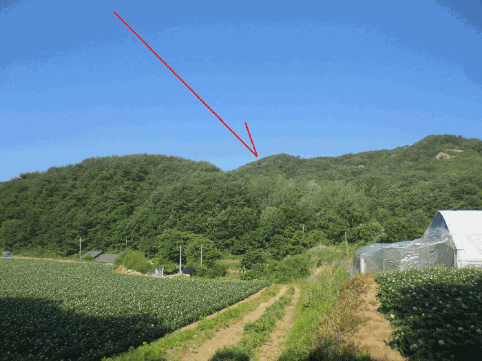 기호 2 토지 전경