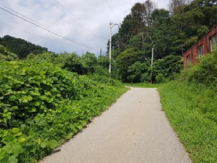 제시부동산 목록4번