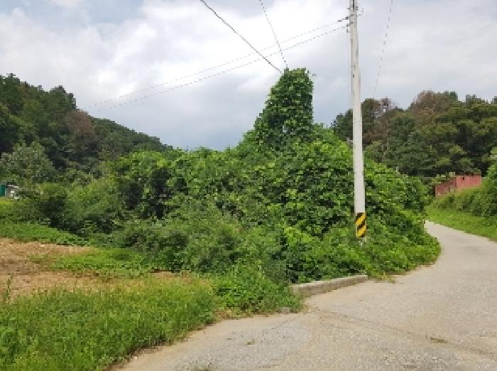 제시부동산 목록3,4,6번 전경