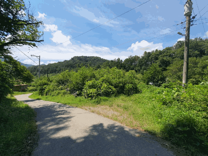 본건전경 기호(3) 