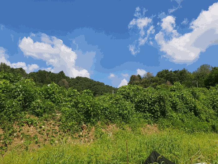 본건전경 기호(5) 