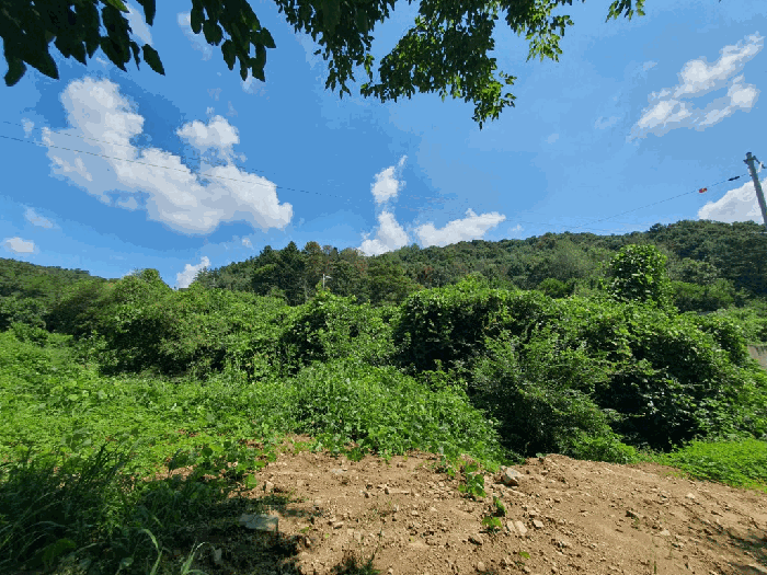 본건전경 기호(6) 